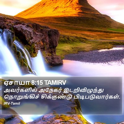 ஏசாயா 8:15 TAMIRV Bible Verse Image
