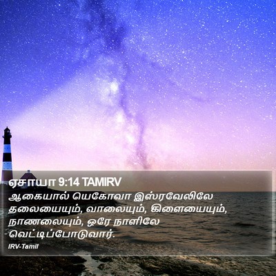 ஏசாயா 9:14 TAMIRV Bible Verse Image