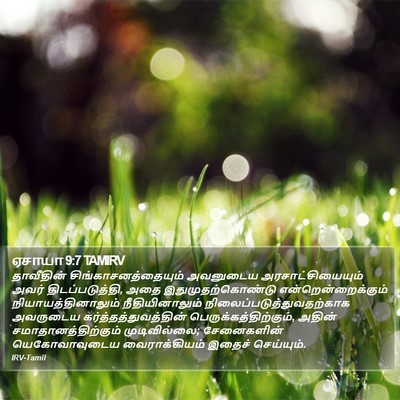 ஏசாயா 9:7 TAMIRV Bible Verse Image