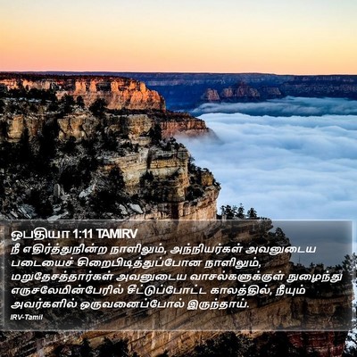 ஒபதியா 1:11 TAMIRV Bible Verse Image
