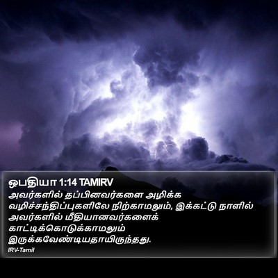 ஒபதியா 1:14 TAMIRV Bible Verse Image