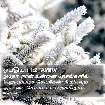 ஒபதியா 1:2 TAMIRV Bible Verse Image