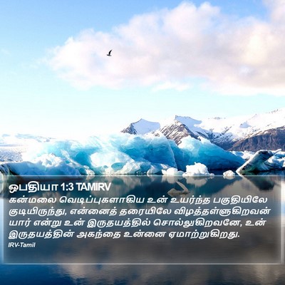 ஒபதியா 1:3 TAMIRV Bible Verse Image