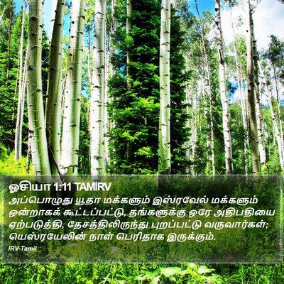 ஓசியா 1:11 TAMIRV Bible Verse Image