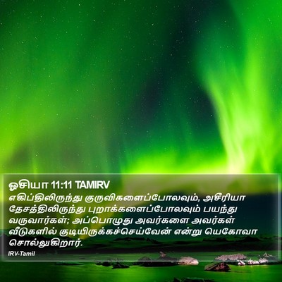 ஓசியா 11:11 TAMIRV Bible Verse Image