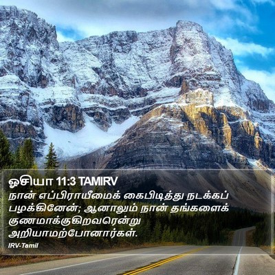 ஓசியா 11:3 TAMIRV Bible Verse Image