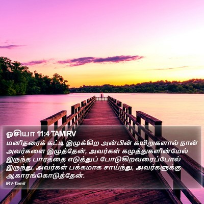 ஓசியா 11:4 TAMIRV Bible Verse Image