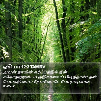 ஓசியா 12:3 TAMIRV Bible Verse Image