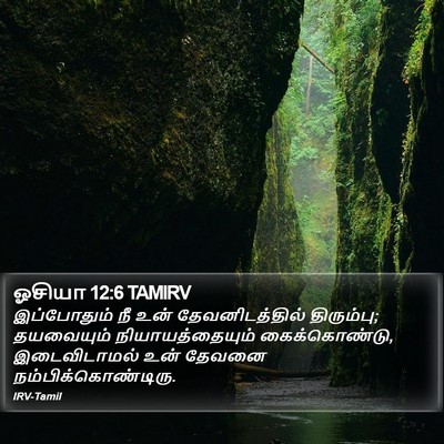 ஓசியா 12:6 TAMIRV Bible Verse Image