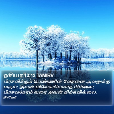 ஓசியா 13:13 TAMIRV Bible Verse Image