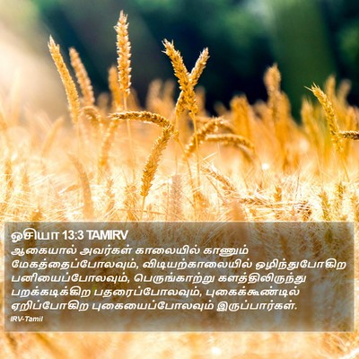 ஓசியா 13:3 TAMIRV Bible Verse Image