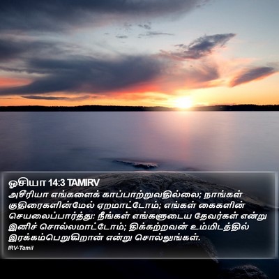 ஓசியா 14:3 TAMIRV Bible Verse Image
