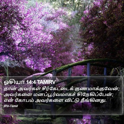 ஓசியா 14:4 TAMIRV Bible Verse Image