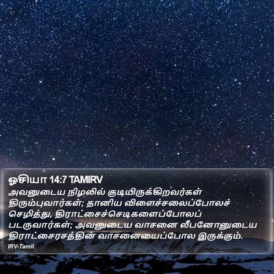 ஓசியா 14:7 TAMIRV Bible Verse Image