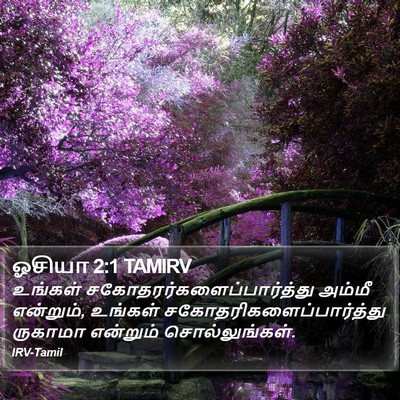 ஓசியா 2:1 TAMIRV Bible Verse Image