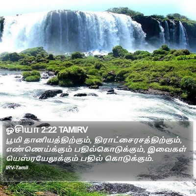 ஓசியா 2:22 TAMIRV Bible Verse Image
