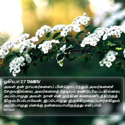 ஓசியா 2:7 TAMIRV Bible Verse Image