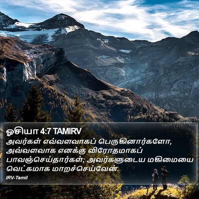 ஓசியா 4:7 TAMIRV Bible Verse Image