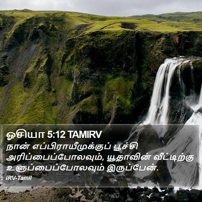 ஓசியா 5:12 TAMIRV Bible Verse Image