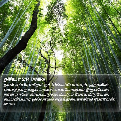 ஓசியா 5:14 TAMIRV Bible Verse Image
