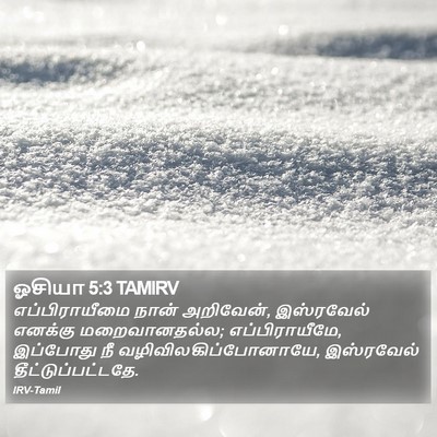 ஓசியா 5:3 TAMIRV Bible Verse Image