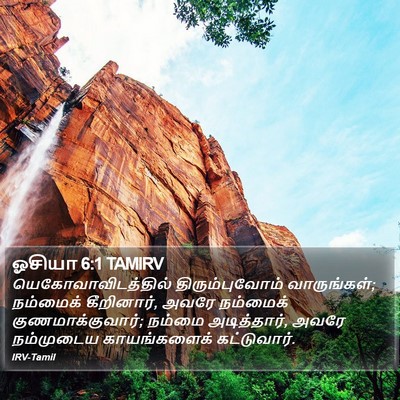 ஓசியா 6:1 TAMIRV Bible Verse Image