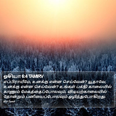 ஓசியா 6:4 TAMIRV Bible Verse Image