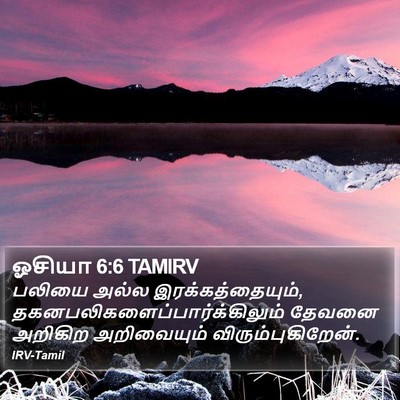 ஓசியா 6:6 TAMIRV Bible Verse Image