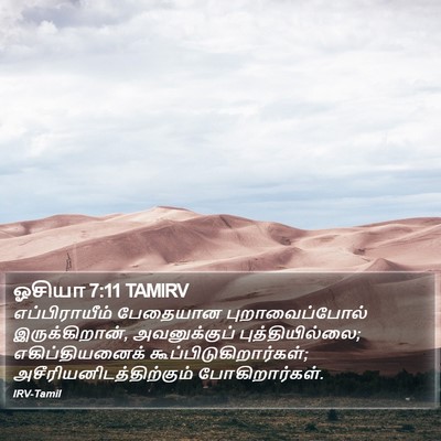 ஓசியா 7:11 TAMIRV Bible Verse Image