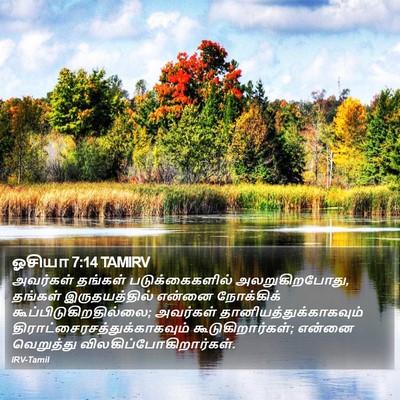 ஓசியா 7:14 TAMIRV Bible Verse Image