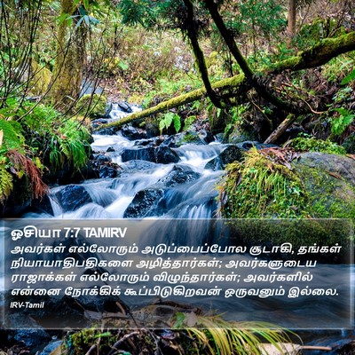 ஓசியா 7:7 TAMIRV Bible Verse Image