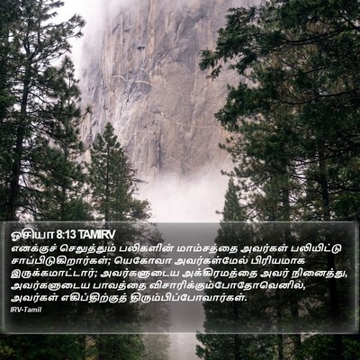 ஓசியா 8:13 TAMIRV Bible Verse Image