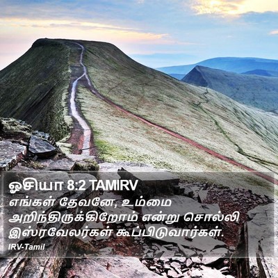 ஓசியா 8:2 TAMIRV Bible Verse Image