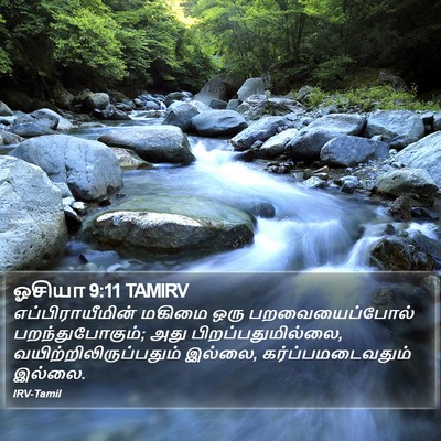 ஓசியா 9:11 TAMIRV Bible Verse Image