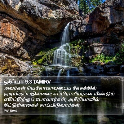 ஓசியா 9:3 TAMIRV Bible Verse Image