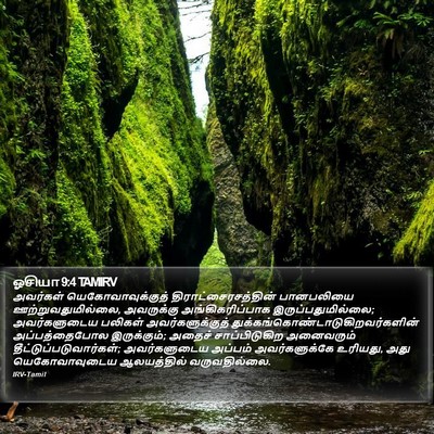 ஓசியா 9:4 TAMIRV Bible Verse Image