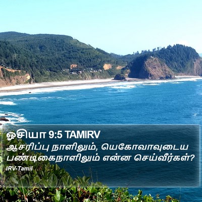 ஓசியா 9:5 TAMIRV Bible Verse Image