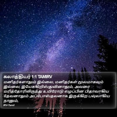 கலாத்தியர் 1:1 TAMIRV Bible Verse Image