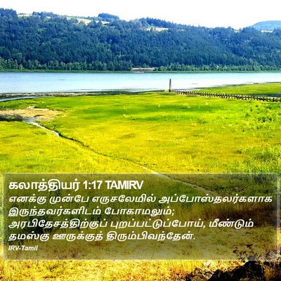 கலாத்தியர் 1:17 TAMIRV Bible Verse Image