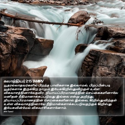 கலாத்தியர் 2:15 TAMIRV Bible Verse Image