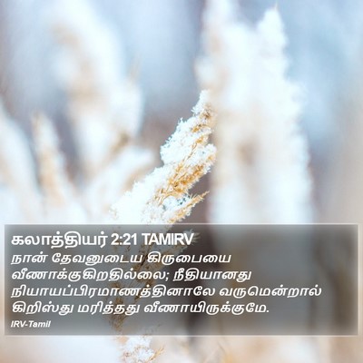 கலாத்தியர் 2:21 TAMIRV Bible Verse Image
