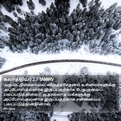 கலாத்தியர் 2:7 TAMIRV Bible Verse Image