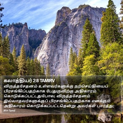 கலாத்தியர் 2:8 TAMIRV Bible Verse Image
