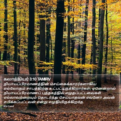 கலாத்தியர் 3:10 TAMIRV Bible Verse Image