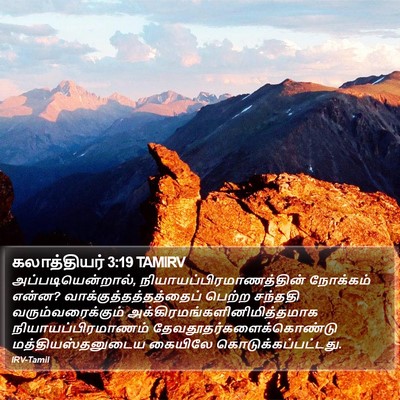 கலாத்தியர் 3:19 TAMIRV Bible Verse Image
