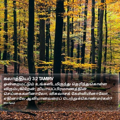 கலாத்தியர் 3:2 TAMIRV Bible Verse Image
