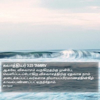 கலாத்தியர் 3:23 TAMIRV Bible Verse Image
