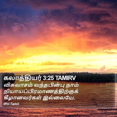 கலாத்தியர் 3:25 TAMIRV Bible Verse Image
