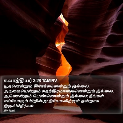 கலாத்தியர் 3:28 TAMIRV Bible Verse Image