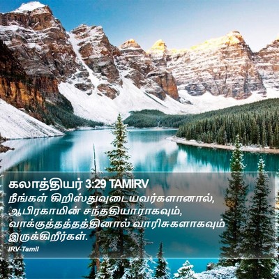 கலாத்தியர் 3:29 TAMIRV Bible Verse Image